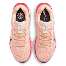 Women's Nike Air Winflo 11